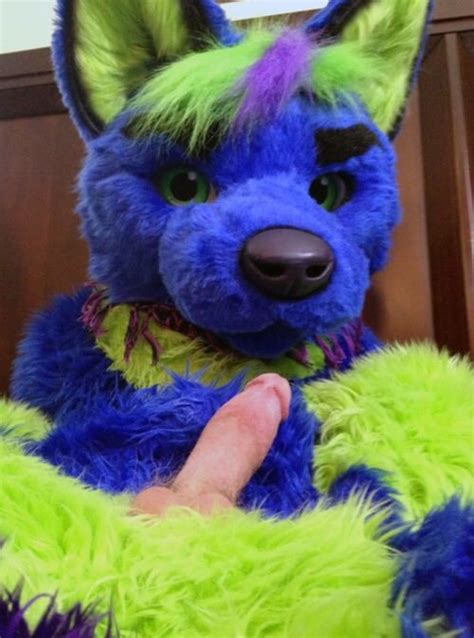 Nido Flow Furry Porn Videos .
